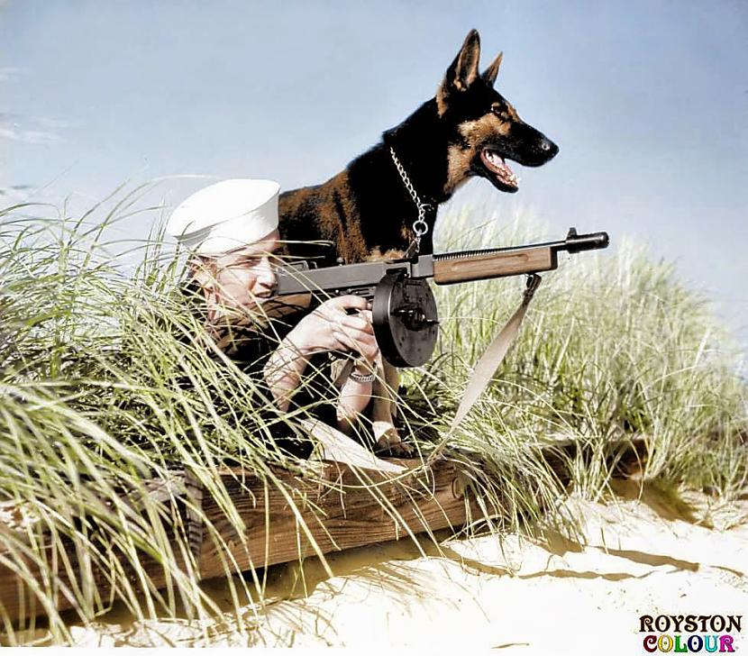 quotSuņu pludmales patruļaquot... Autors: Lestets 2. pasaules kara bildes, kas pārsteigs!