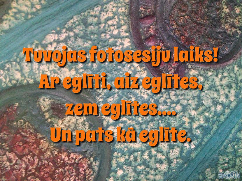 Autors: Kolch Spoki joko