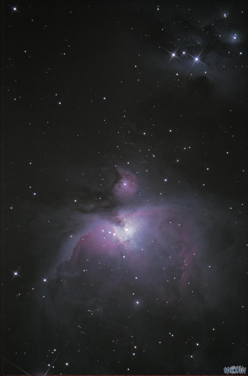 Ziemas skaistulis Oriona... Autors: peleks Astrofotogrāfēšana
