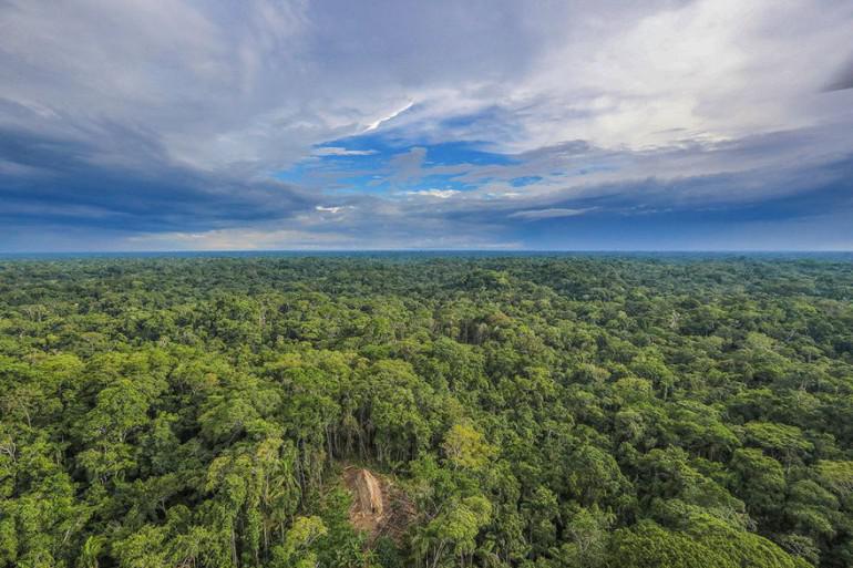 Viņscaron pārvietojās ar... Autors: 100 A Fotogrāfs Amazones mežos netīšām uziet cilti, kas nepazīst mūsdienu civilizāciju