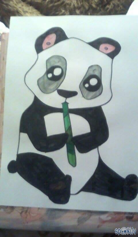  Un šeit pabeigta Panda  Autors: xxBloodyMaryxx Ķēpu darbiņi #1