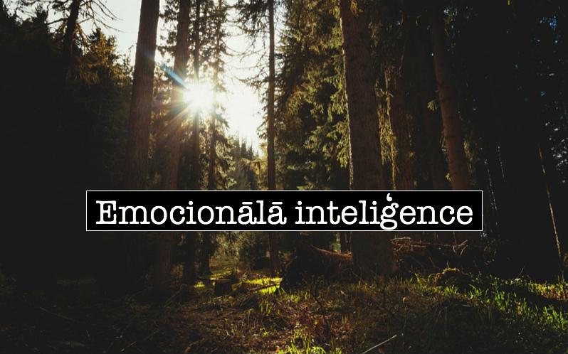 Emocionālā inteliģence ir... Autors: KALENS Emocionālā inteliģence