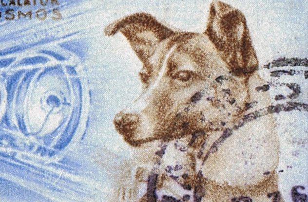 Viņi zināja ka Laika mirs... Autors: Testu vecis 10 traģiski fakti par Laiku - pirmo suni kosmosā