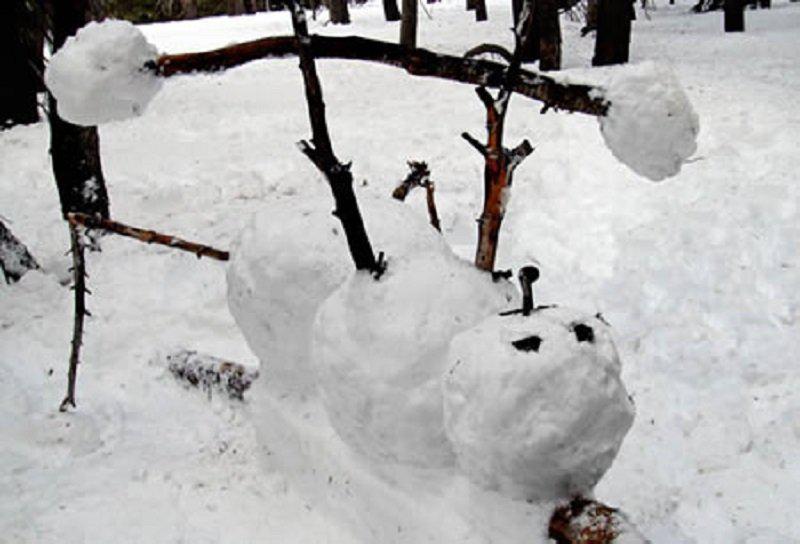 Dažus sniegavīrus neatstāj... Autors: Fosilija Šeit ir tikai sniegavīru bildes. Tikai sniegavīru. Tiešām.