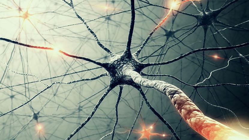 Neironu tīklsDoktora Dispenzas... Autors: M4R3X Mūsu apziņa ietekmē realitāti