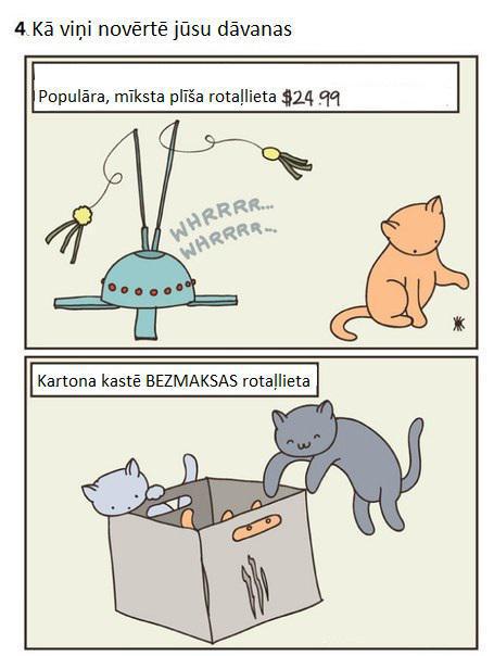 Rotaļlietas izvēlas kaķis... Autors: kucēntiņš Ja vēlies iegādāties kaķi - izlasi (kaķu saimnieki sapratīs)