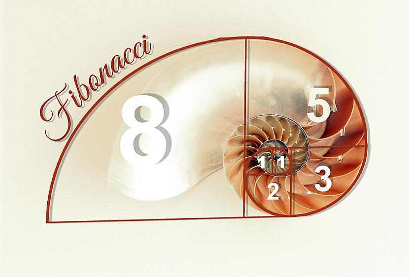  Autors: epiphany112 Fibonači ciparu secība un zelta proporcija