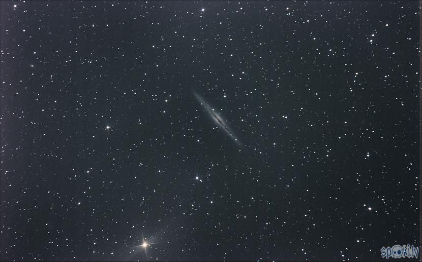 NGC891 157x30 sekundes ISO800... Autors: peleks Astrofotogrāfēšana 2