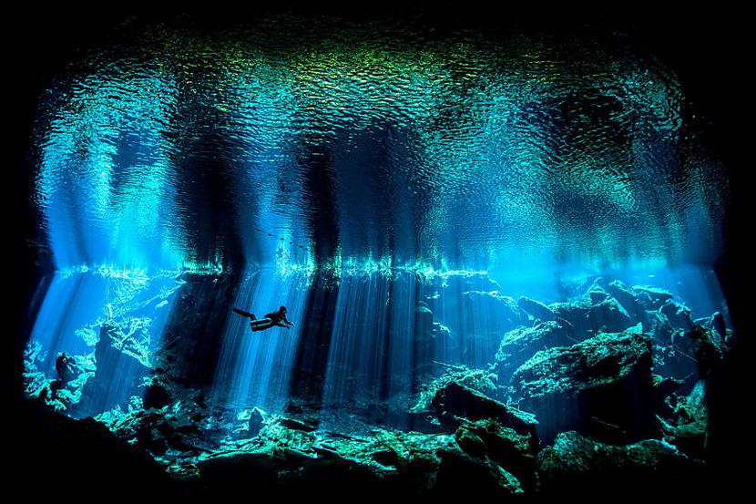 Kategorija quotBritu gada... Autors: ezkins 2017. gada konkursa Underwater Photographer uzvarētāji