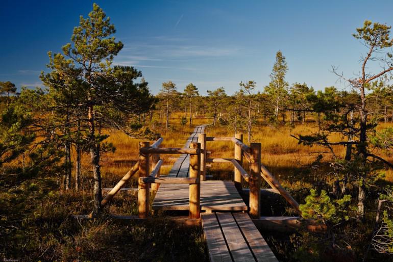 Ķemeru Nacionālais parksStarp... Autors: 100 A 15 vietas, kuras jāapciemo katram Latvijas iedzīvotājam.