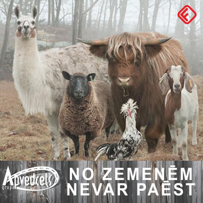  Autors: zeminem 20 latviešu mūzikas albumi, ja tos būtu izdevuši dzīvnieki.