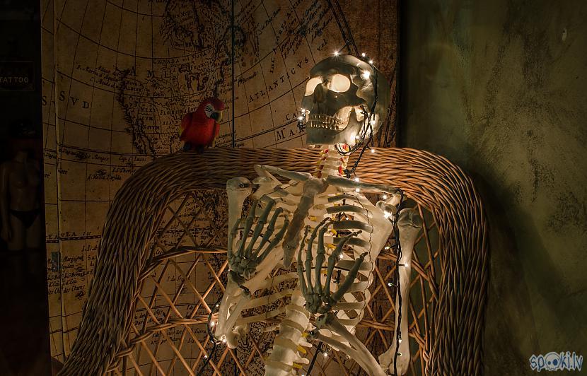 Vientuļscaron skelets naktī... Autors: Eronymusdead 7 dienu piedzīvojumi Spānijā