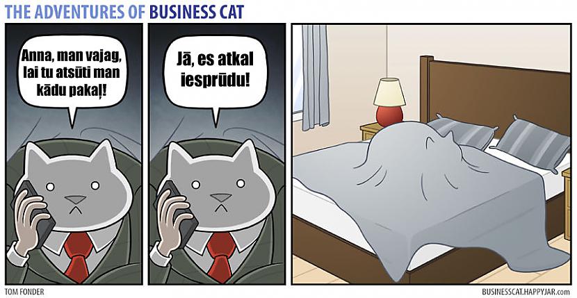  Autors: matilde Ja Tavs priekšnieks būtu kaķis! (10+ jauni komiksi)
