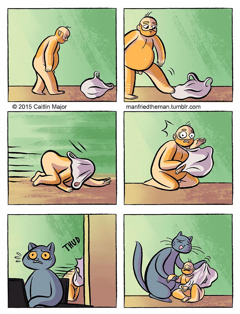  Autors: matilde 23 smieklīgi komiksi par to, ja cilvēks ar kaķi pēkšņi samainītos vietām!