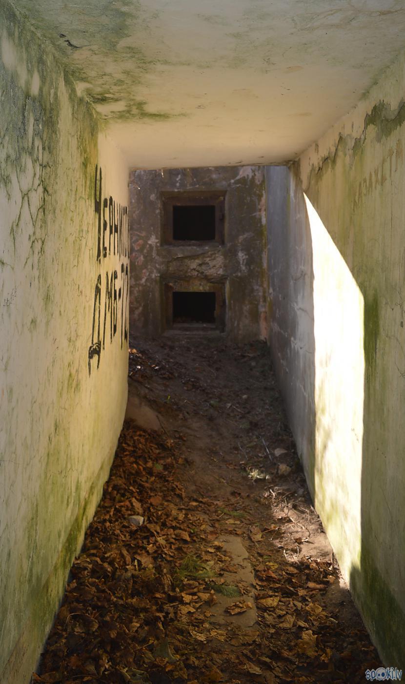  Autors: Rakoons15 Dažādas uzņemtas bildes no Liepājas drupām, graustiem, tuneļiem