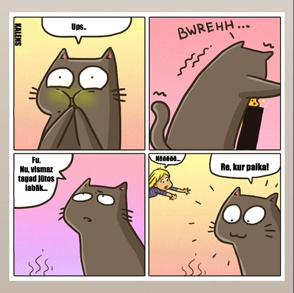  Autors: KALENS 30 komiksi, kurus patiesi sapratīs tikai kaķu saimnieki!