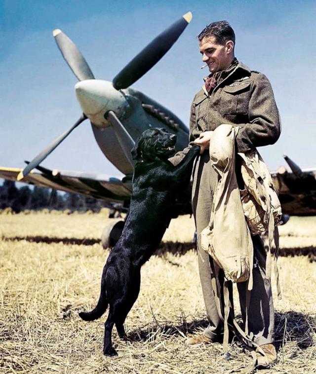 Britu pilots ar savu... Autors: Lestets Neticamas krāsainas bildes no 2. pasaules kara ikdienas