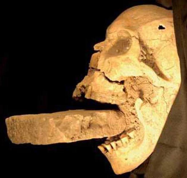 Viduslaiku vampīrsPret... Autors: Lestets Šokējoši arheoloģiskie atradumi