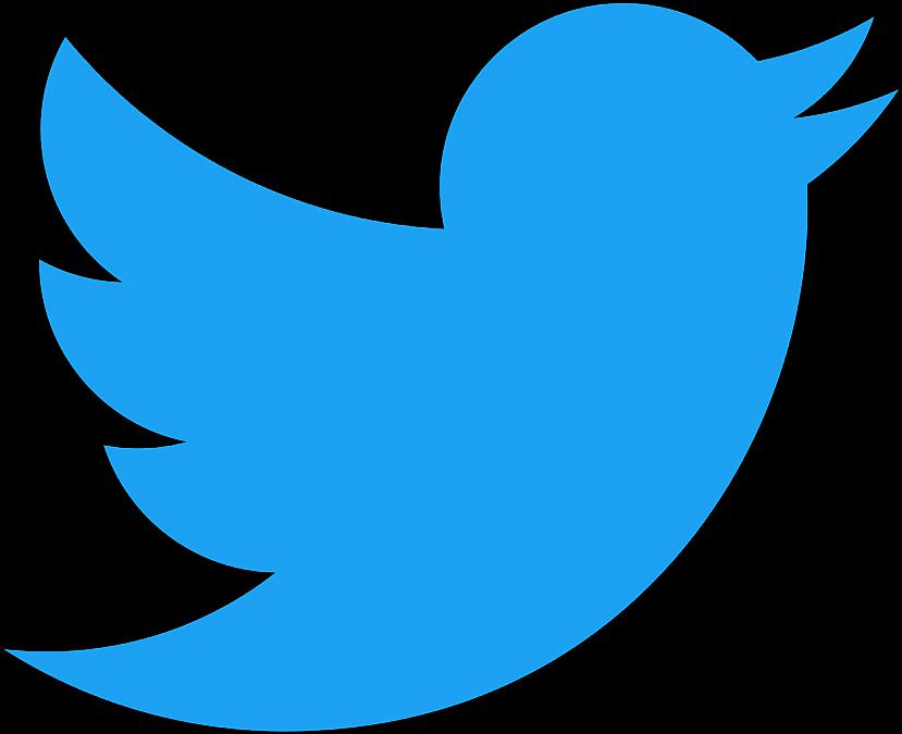 Twitter logo putniņam ir savs... Autors: midnight owl Dažādi fakti, kurus, iespējams, nezināji!
