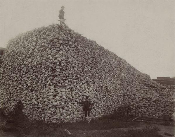 Kaudze ar tūkstošiem bizonu... Autors: Fosilija Bildes no tiem laikiem