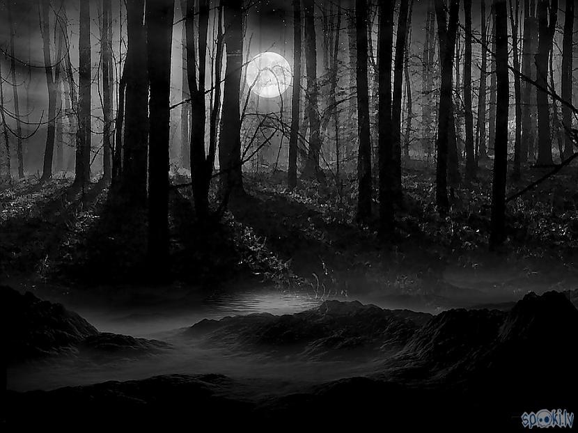  Autors: Spalvas tinte Šausmu stāsts: Tumšais mežs [2]