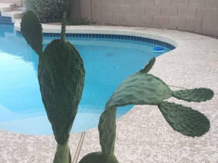 Pat kaktusiem ir par karstu Autors: Syder FOTO no Arizonas karstuma viļņu sekām, kur burtiski VISS kūst!
