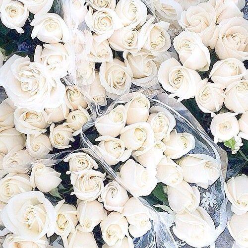 Baltas rozes simbolizē... Autors: Diana Hemminga Baltās rozes