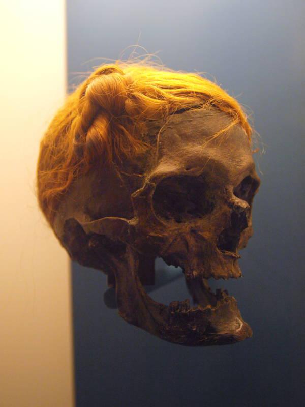 Osterbijas galva atrasta 1948... Autors: Lestets Purva līķi - dabas radītas mūmijas