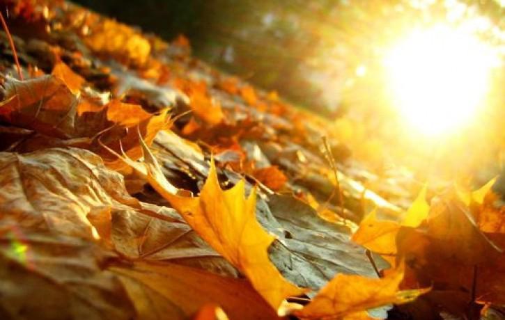 Man patīk spožā rudens saule... Autors: Lagerta Rudens