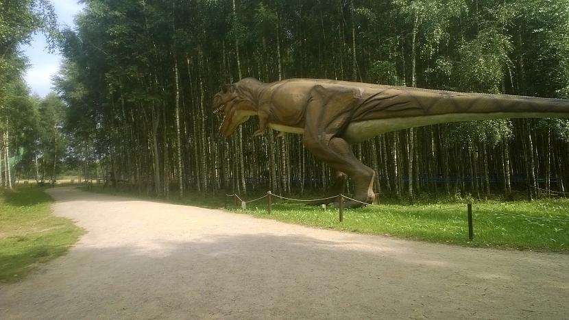 Labi ka nepamanīja mani Autors: MEAA...W Dinozauru parks, Lietuva.