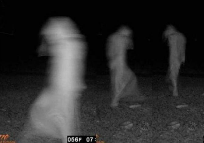 Mja izskatās pēc spoku tusiņa  Autors: evija35.spoki 14 baisākie kadri no nakts redzamības medību kamerām