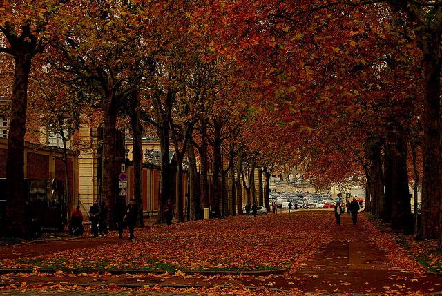  Autors: Fosilija Autumn #40