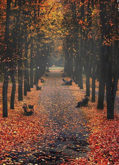  Autors: Fosilija Autumn #42
