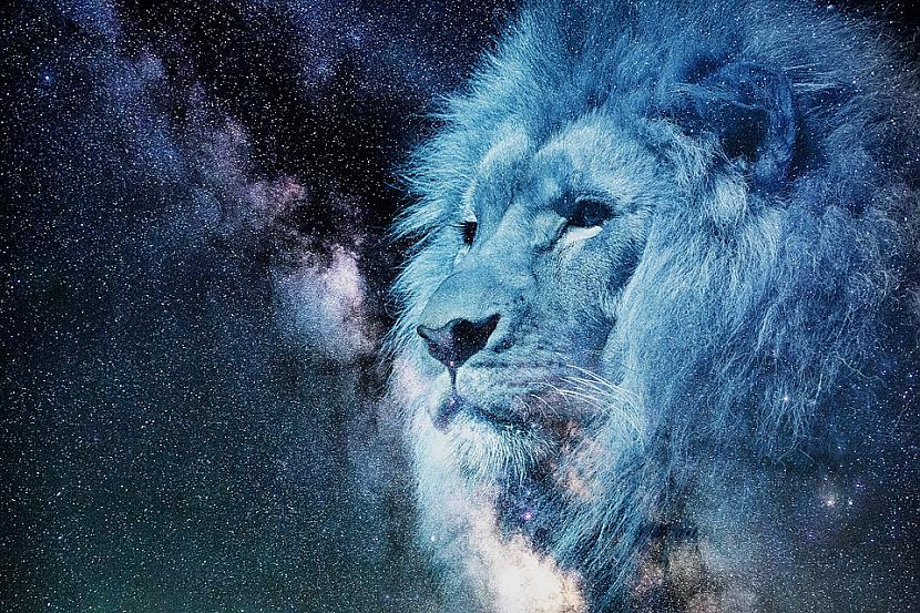 Lauva un Strēlnieks2018 gadā... Autors: Lestets Pāru mīlas horoskops 2018