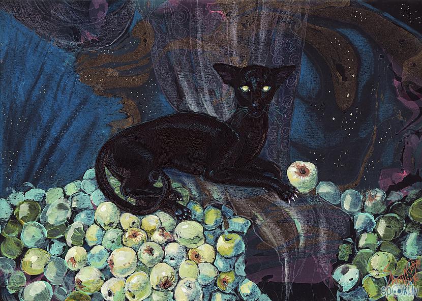 Klusā daba ar melno kaķi un... Autors: anonymo Santagora - mani darbi 11. daļa
