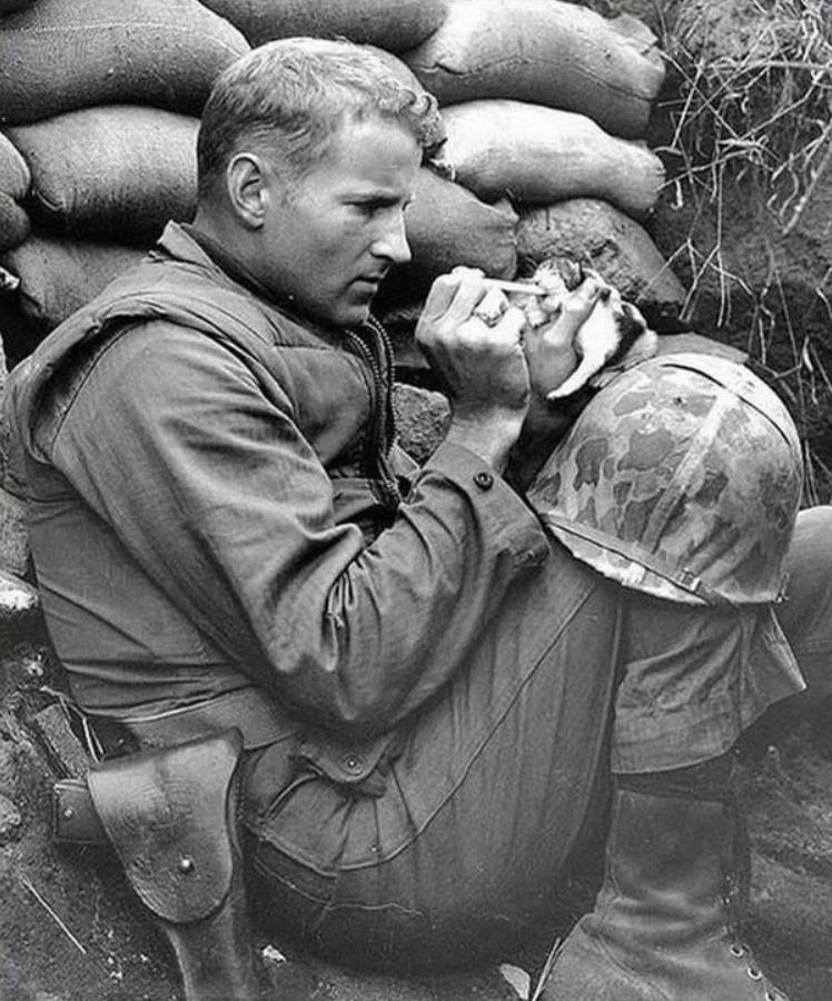 Amerikāņu kareivis baro kaķēnu... Autors: Lestets Mums ir cerība