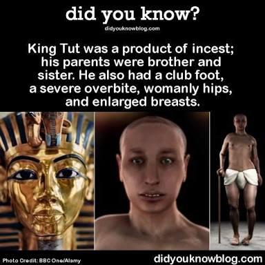 Īstais Tutankhamons Autors: Zigzig Kāpēc mūsdienu vēsturiskās filmas/seriāli ir nepatiesi? 📽🎞