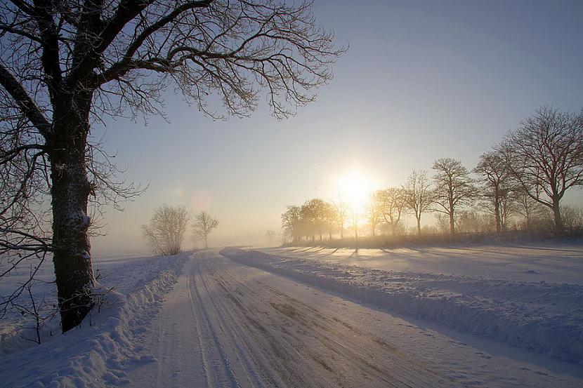  Autors: Fosilija Skaistā ziema.