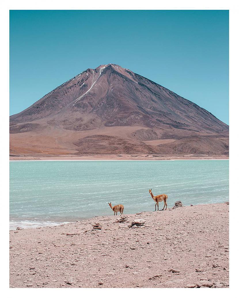  Autors: ALISDZONS Bolivia