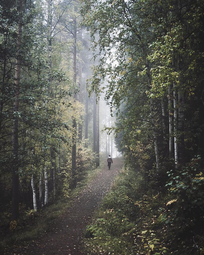  Autors: ALISDZONS Finland