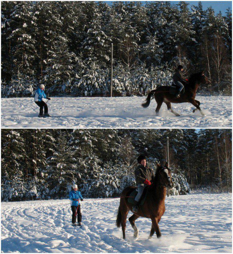 Skijorings aiz zirga Gandrīz... Autors: MeiteneArVārdu Kur obligāti jādodas ziemā?