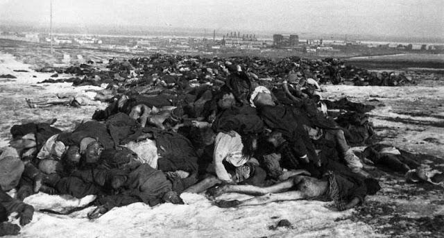 Miruscarono vācu kareivju... Autors: Lestets Kara šausmas: kauja par Staļiningradu 1942-1943. g.
