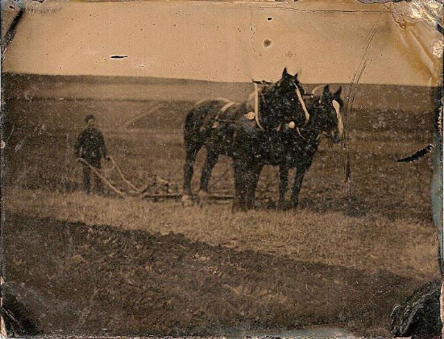 Zemnieks Autors: Lestets Agrīnās fotogrāfijas: kāda bija dzīve 1840-tajos
