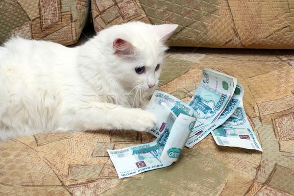  Autors: cocosik@ru Nauda un dzīvnieki: Kad kaķis ir grāmatvedis un suns - finanšu direktors