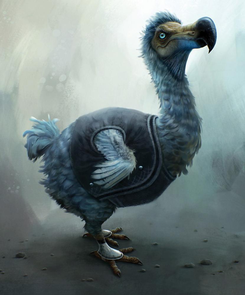 Dodo bija nelidojošs liela... Autors: ĶerCiet Kā gāja bojā pasaulē slavenākais dodo?