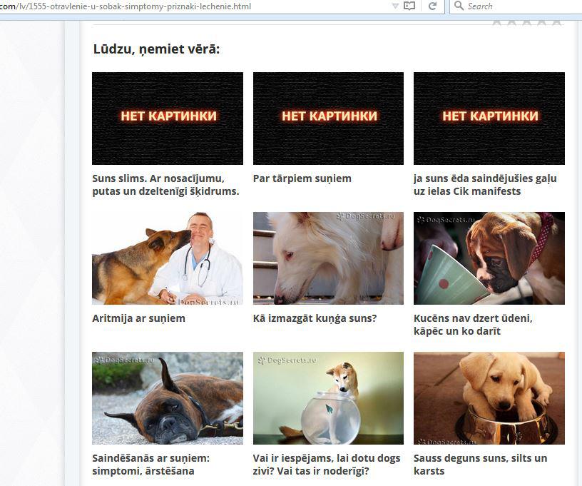 Suņi ukp Autors: Fosilija Ko Ģenerālis Hansijs dara internetā? [3]