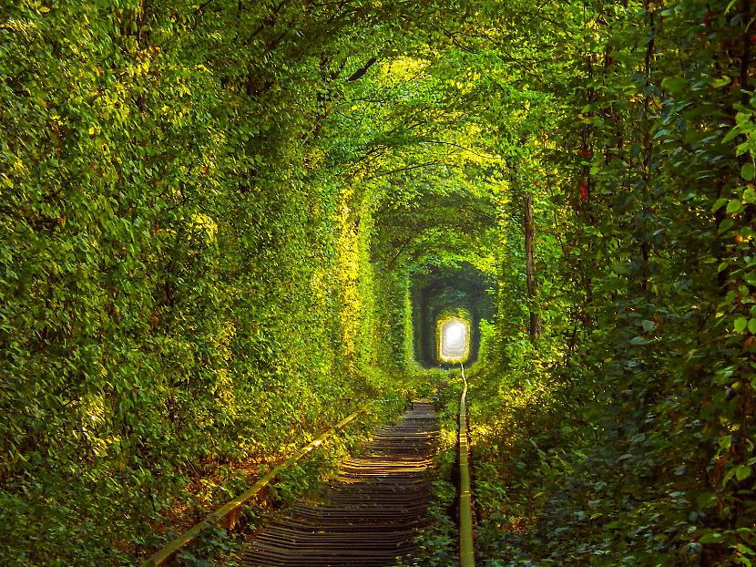 Mīlas tunelis Ukraina Autors: matilde 24 pasakainas vietas, kuras ir vērts apmeklēt arī mūsdienās