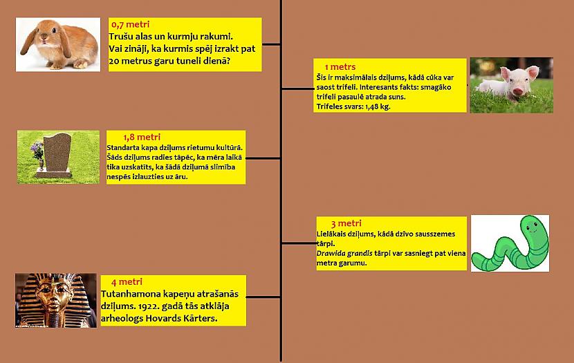  Autors: The Diāna Ceļojums uz ZEMES centru (ilustrēts)