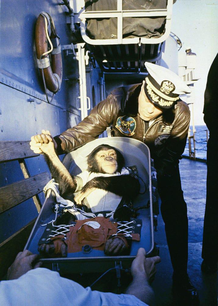 Scaronimpanza Hams kas... Autors: Lestets NASA agrīnās dienas retā fotogrāfiju kolekcijā