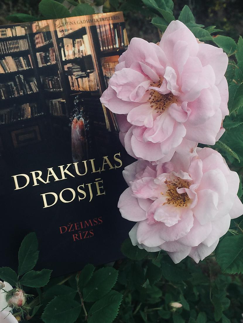  Autors: DEVILMOM Kaut kas no kaut kā